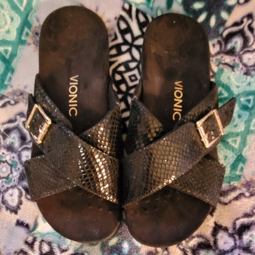 Slides by Vionic